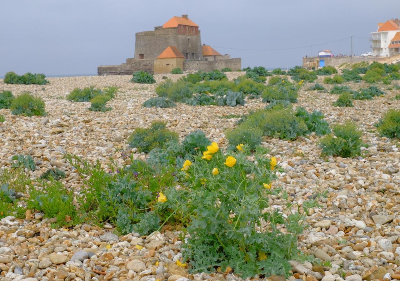 Sea Wind And Sun Apartamento Wimereux Exterior foto